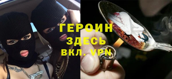 хмурый Аркадак