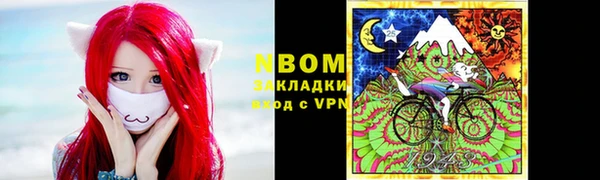 ПСИЛОЦИБИНОВЫЕ ГРИБЫ Арсеньев