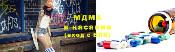 хмурый Аркадак