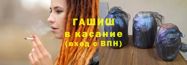 хмурый Аркадак