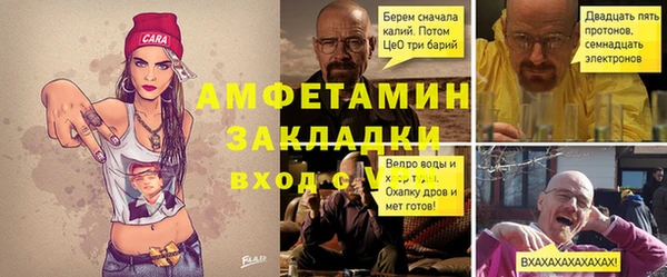 хмурый Аркадак