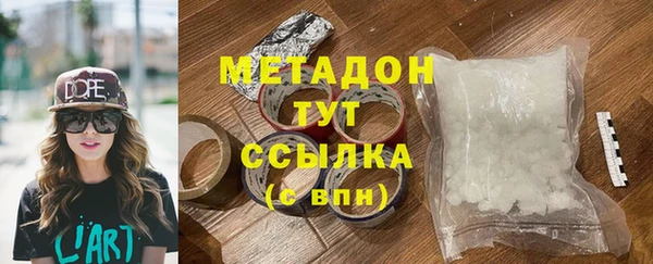 хмурый Аркадак