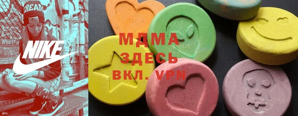 хмурый Аркадак
