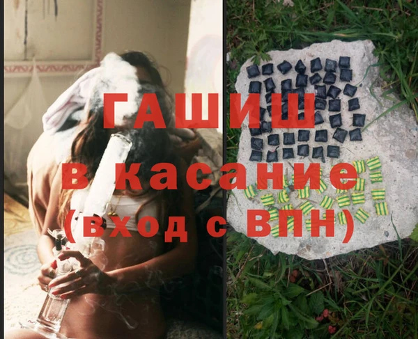 хмурый Аркадак
