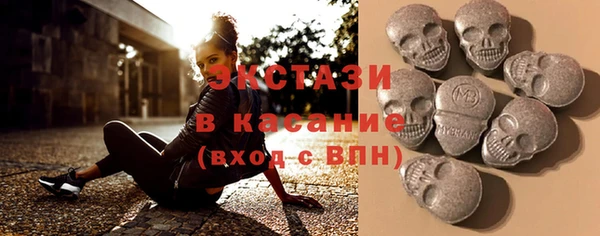 хмурый Аркадак