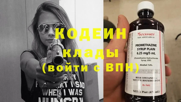 ПСИЛОЦИБИНОВЫЕ ГРИБЫ Арсеньев