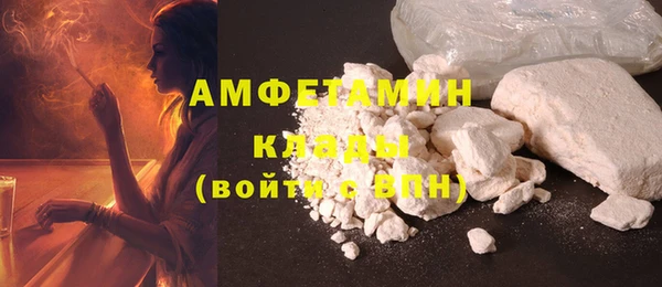 хмурый Аркадак