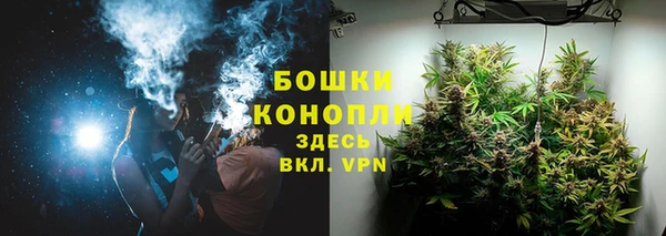хмурый Аркадак