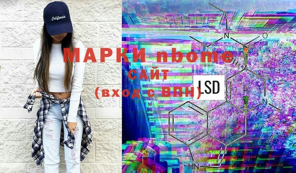ПСИЛОЦИБИНОВЫЕ ГРИБЫ Арсеньев